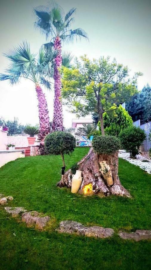 Villa Barone سيلفا دو فاسانو المظهر الخارجي الصورة