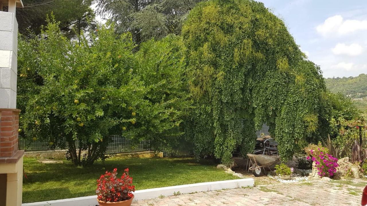 Villa Barone سيلفا دو فاسانو المظهر الخارجي الصورة