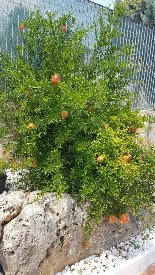 Villa Barone سيلفا دو فاسانو المظهر الخارجي الصورة